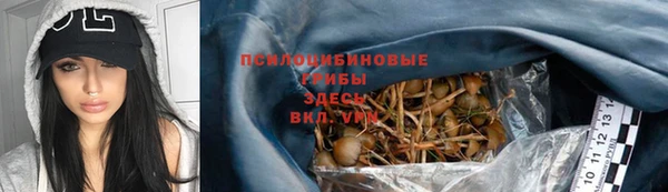 спайс Алзамай