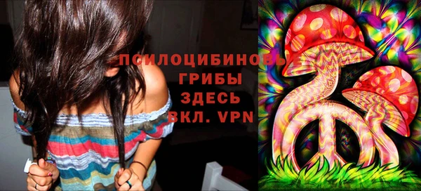 крисы Алексин