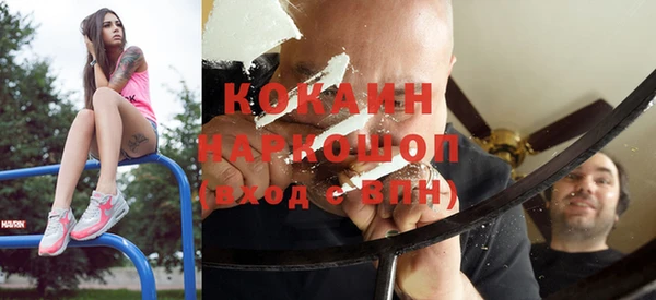 крисы Алексин
