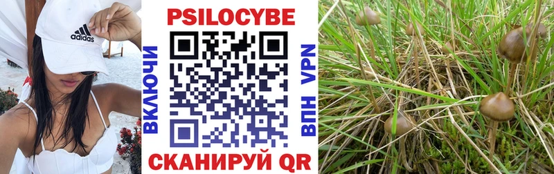 Псилоцибиновые грибы ЛСД  Бронницы 
